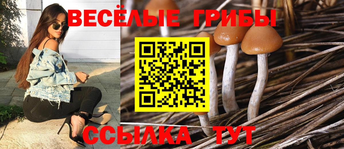 Галлюциногенные грибы GOLDEN TEACHER Дивногорск